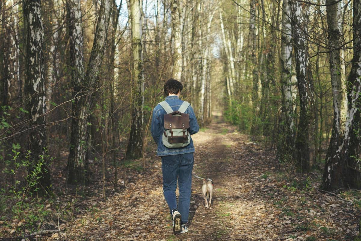 ilustrasi berjalan di hutan