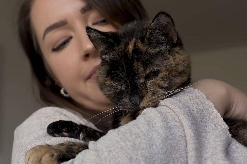 Genap 30 Tahun, Flossie Menjadi Kucing Tertua di Dunia