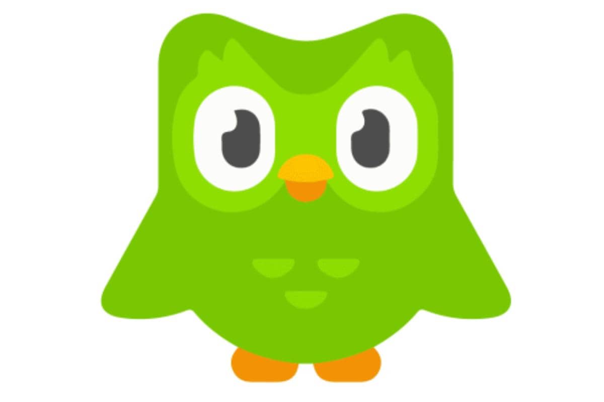 duolinggo logo image