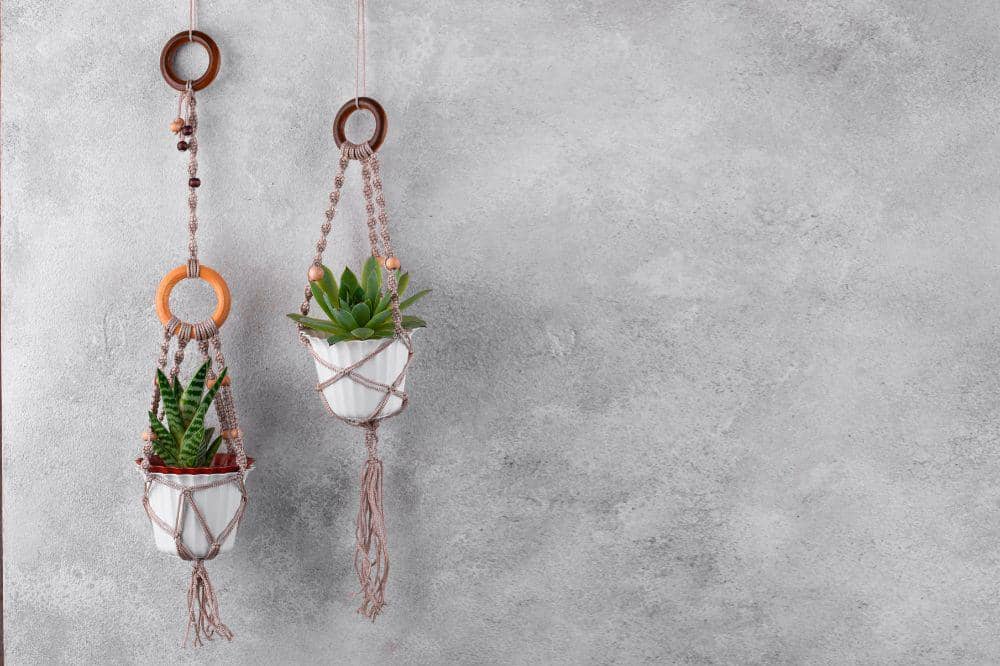 8 Tips Menanam Tanaman Gantung