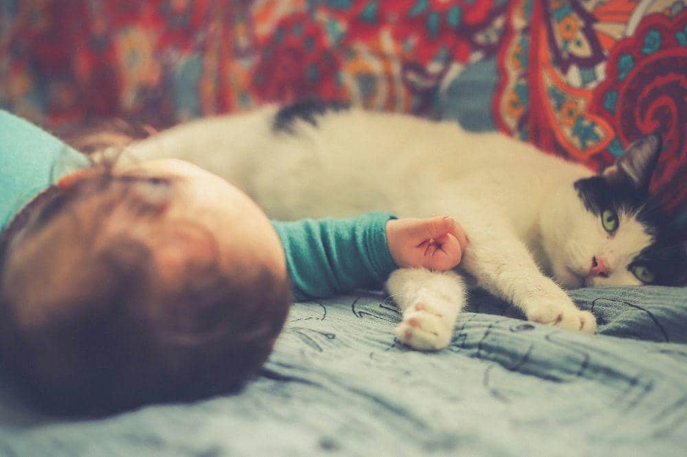 Unsplash/Manja Vitolic