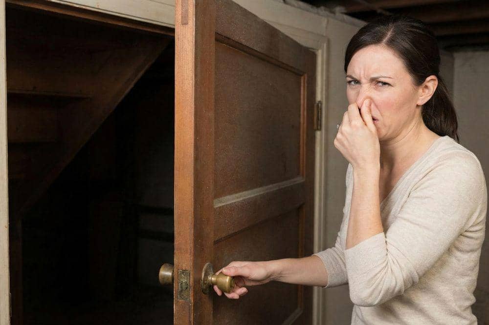 7 Tanda Ular Masuk Rumah 3