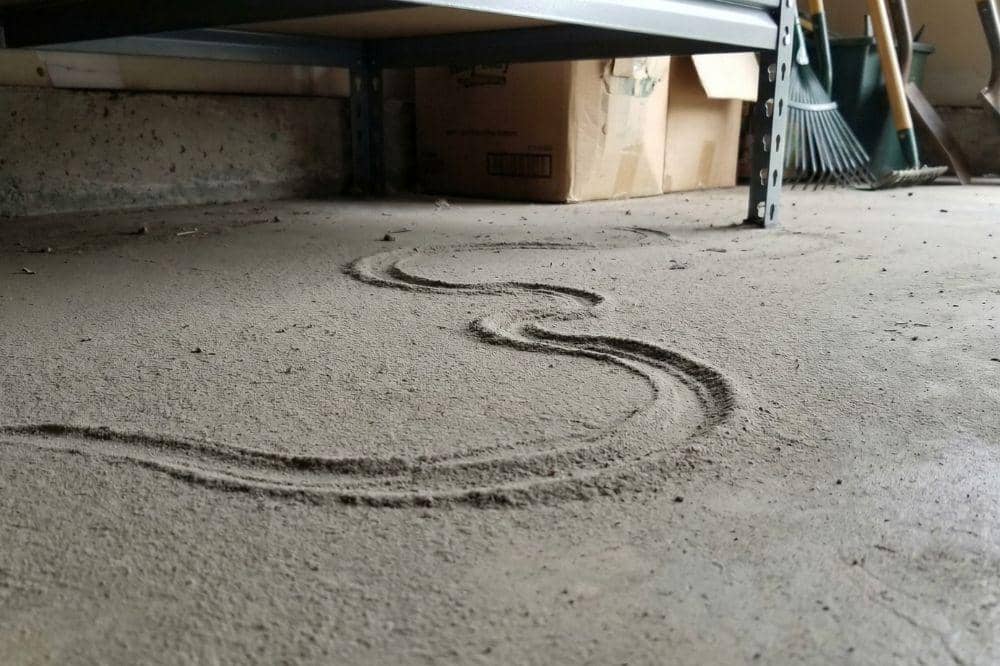 7 Tanda Ular Masuk Rumah 4