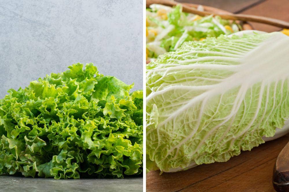 Selada Air dan Sawi Putih Jadi Sayuran Paling Sehat Menurut Penelitian.jpg