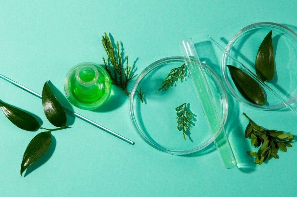 Cara baru merawat kulit wajah dengan collagen reboot