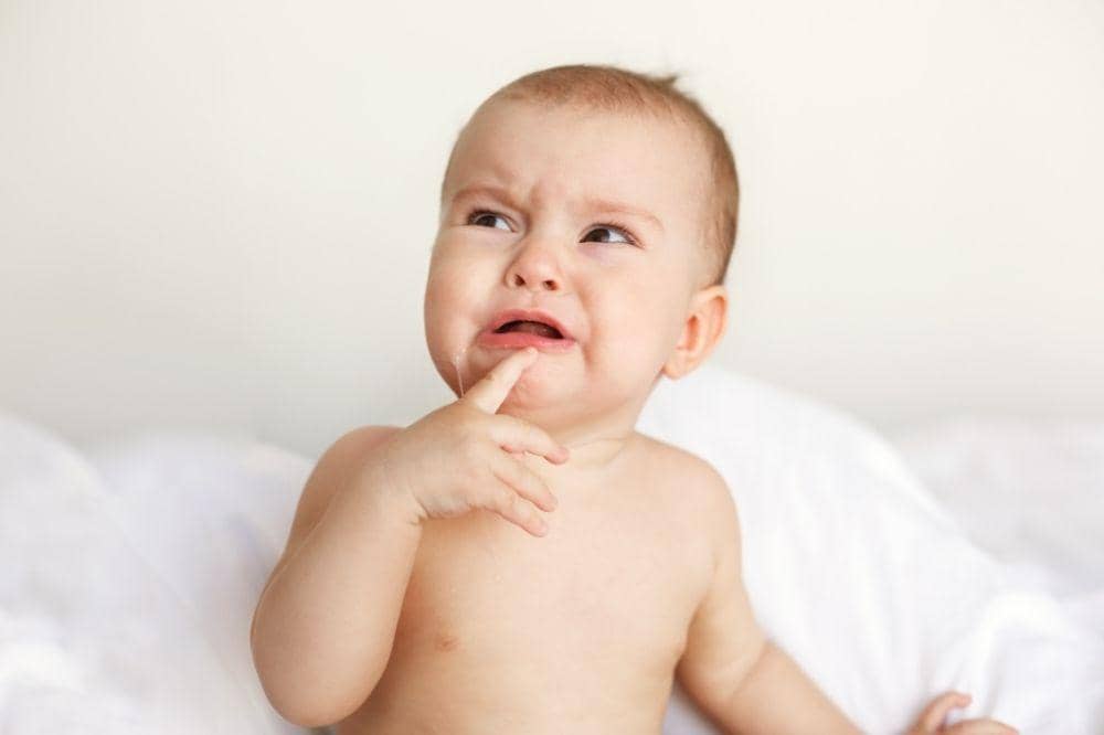 Freepik/cookie_studio