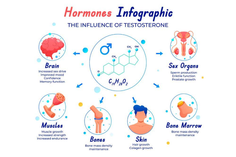 Ahli sebut testosteron berkurang dapat menyebabkan penuaan