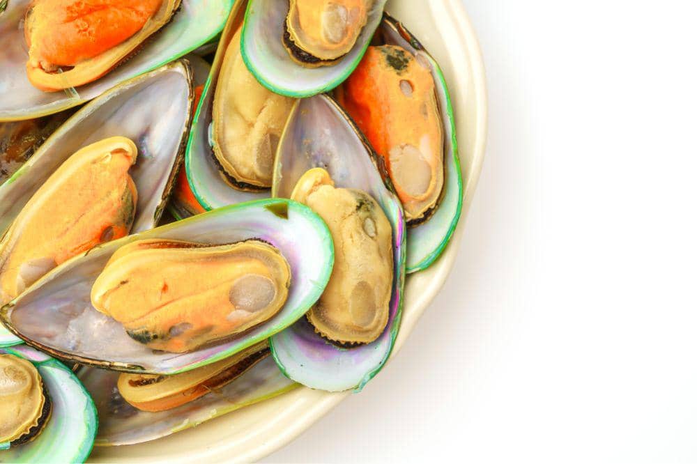 9 Cara Menyimpan Kerang Hijau
