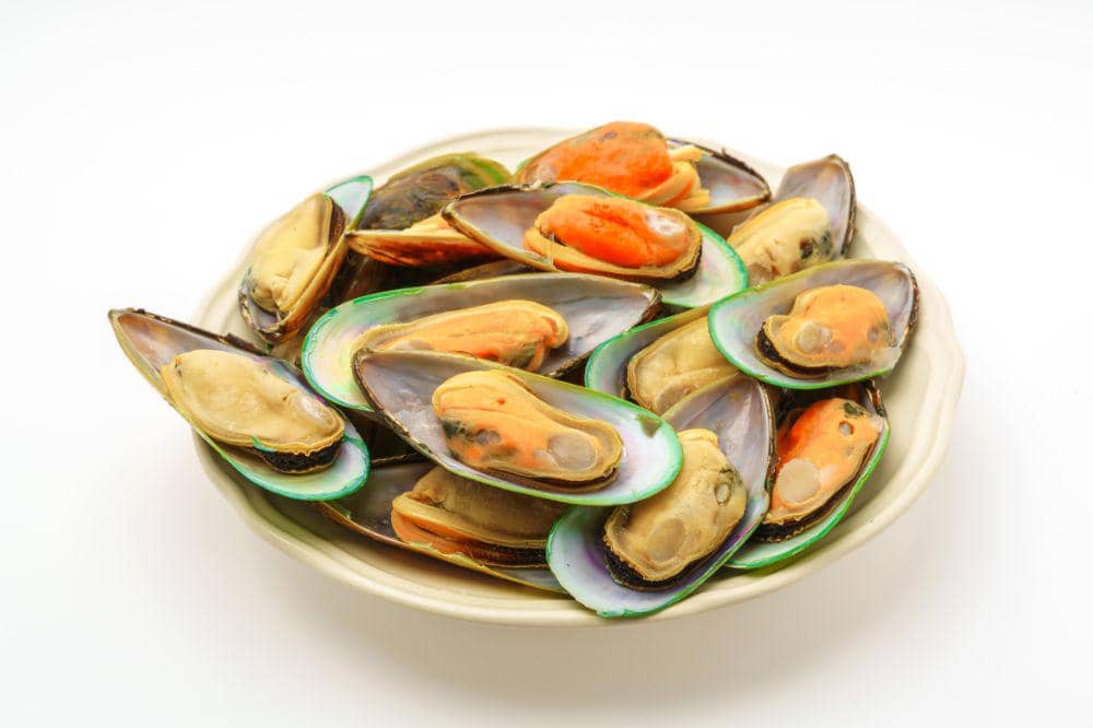 9 Cara Menyimpan Kerang Hijau