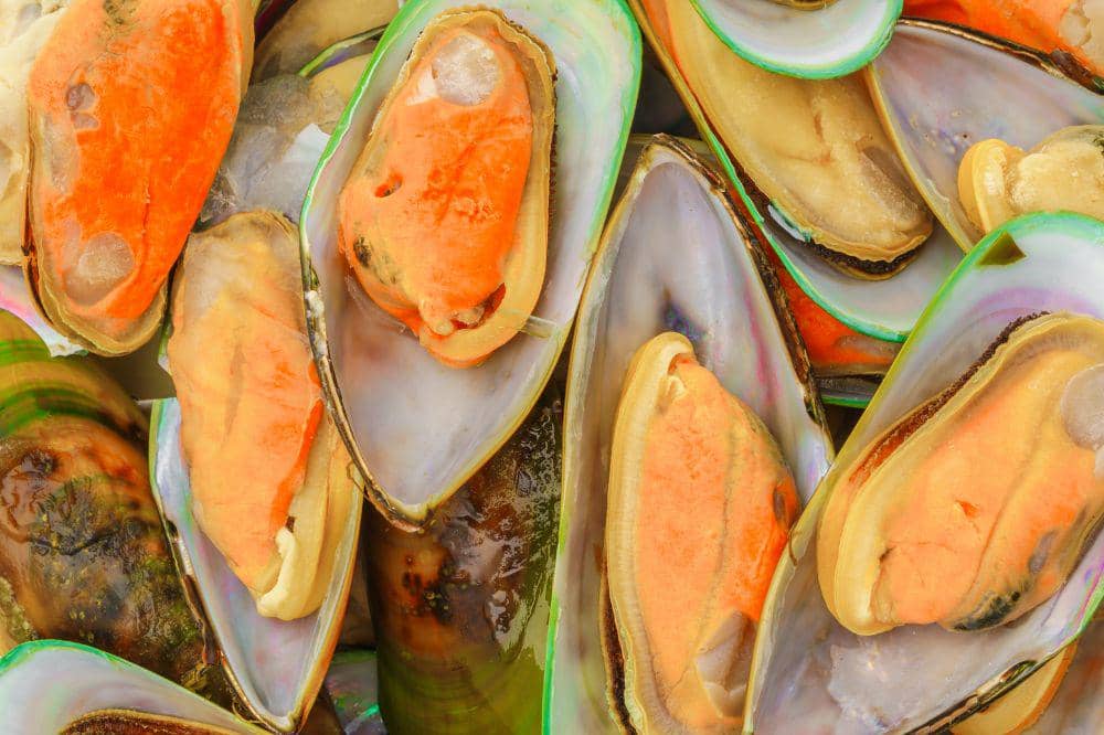 9 Cara Menyimpan Kerang Hijau