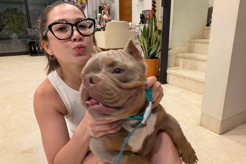 Richman, Anjing Andrea Dian yang Menjadi Anggota Keluarga Baru