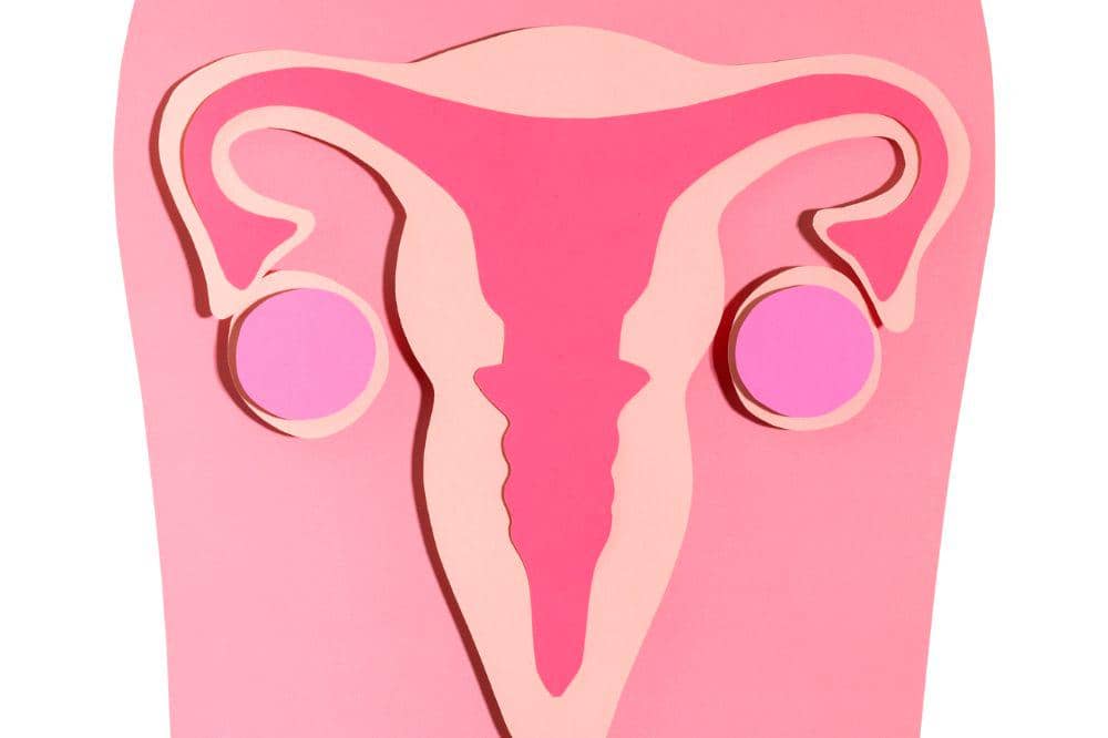 Apa Perbedaan Erosi Serviks dan Kanker Serviks Jangan Sampai Keliru.jpg