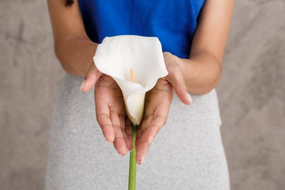 Gejala Kanker Serviks Stadium Awal (4).jpg