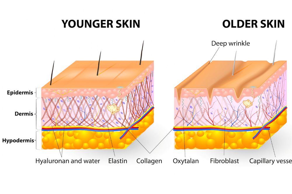 skincare collagen