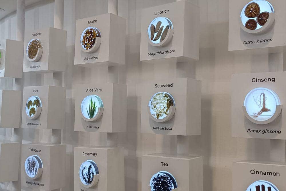 Lewat Beauty Science Tech 2026, Paragon Bahas Inovasi Perawatan Kulit