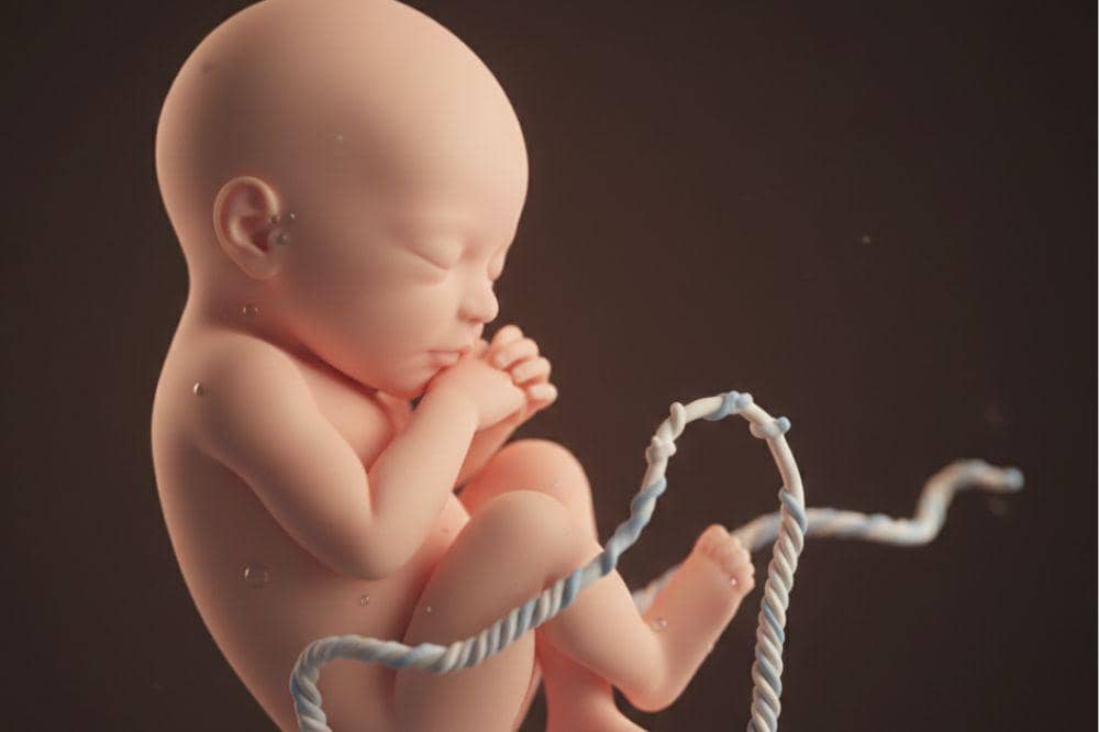 Popmama.com/Alya Putri Abi/AI