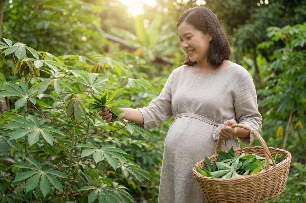 7 Kandungan Daun Singkong untuk Ibu Hamil COVER