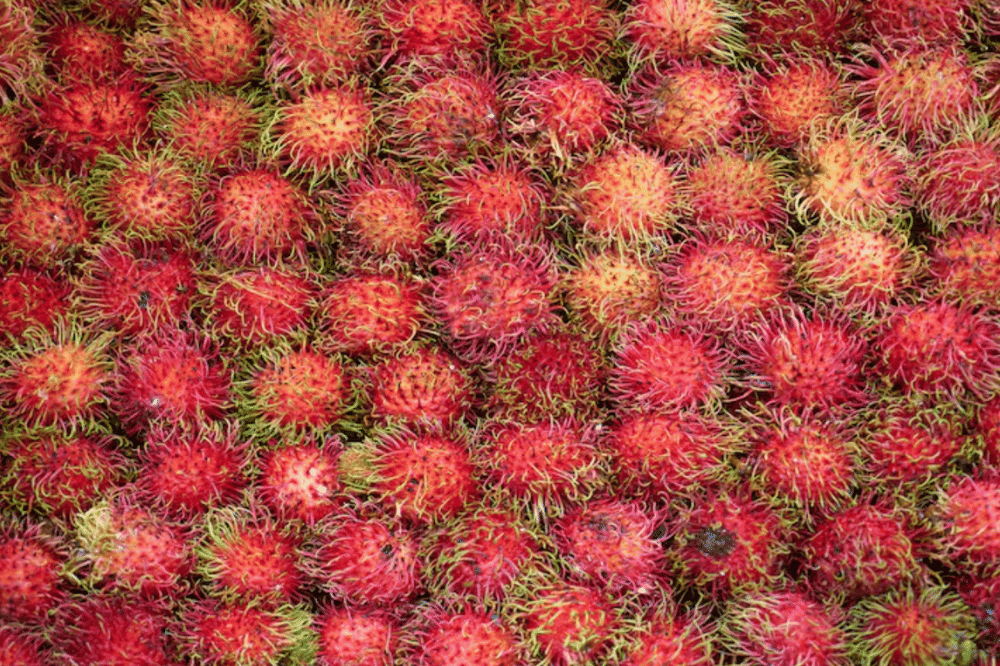 Freepik/freestockcenter