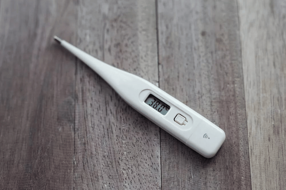 Pinterest.com/INA Boldaniuc