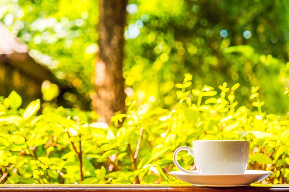 8 Cafe Alam Terdekat di Sentul, Ada Nuansa Sungai yang Sejuk