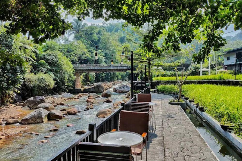 13 Cafe Alam Terdekat di Bogor, Suasananya Adem dan Nyaman (9).jpg
