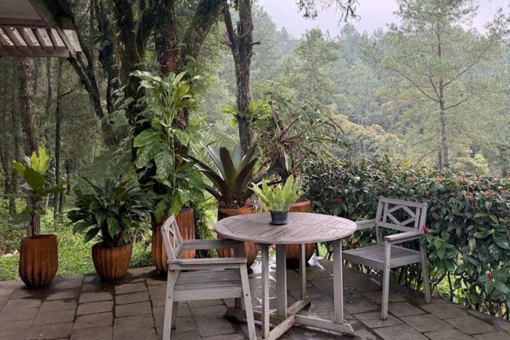 9 Cafe Alam Terdekat di Puncak, Vibes Tropis ala Bali (2).jpg