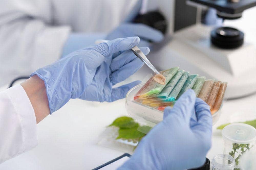 Pemeriksaan sampel es gabus