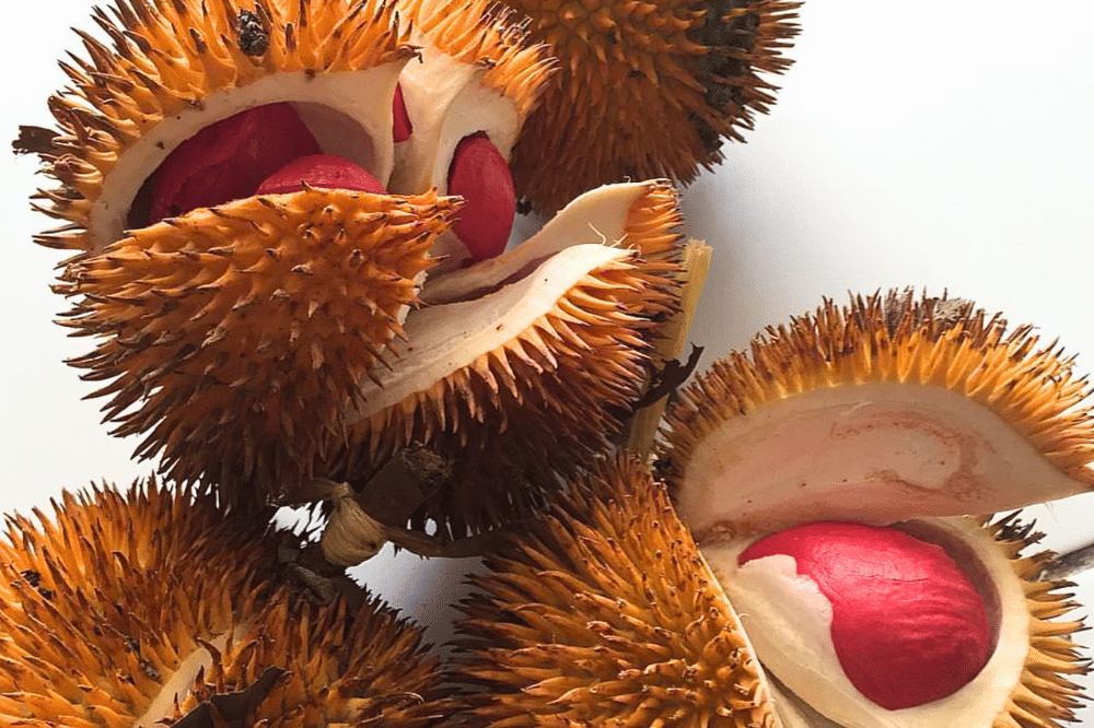 Durian Merah Banyuwangi Resmi Jadi Produk Indikasi Geografis Pertama di Indonesia.png