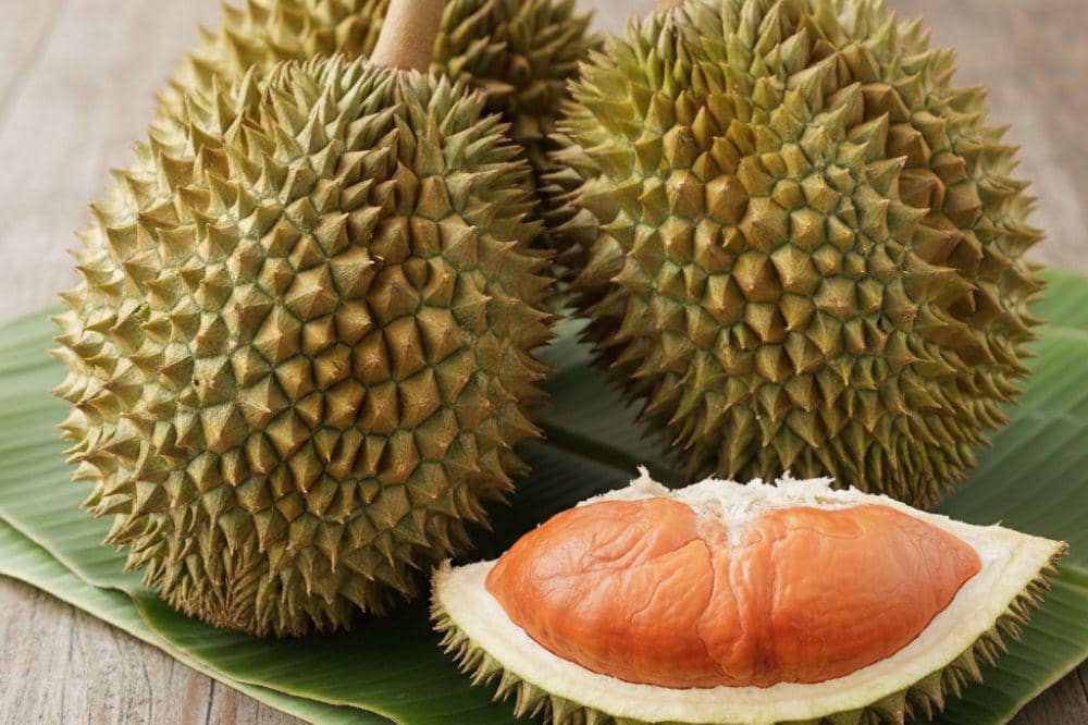 10 Jenis Buah Durian dan Ciri Khasnya dari Berbagai Daerah