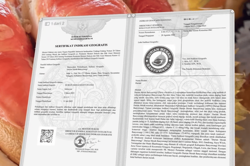 Durian Merah Banyuwangi Resmi Jadi Produk Indikasi Geografis Pertama di Indonesia.png