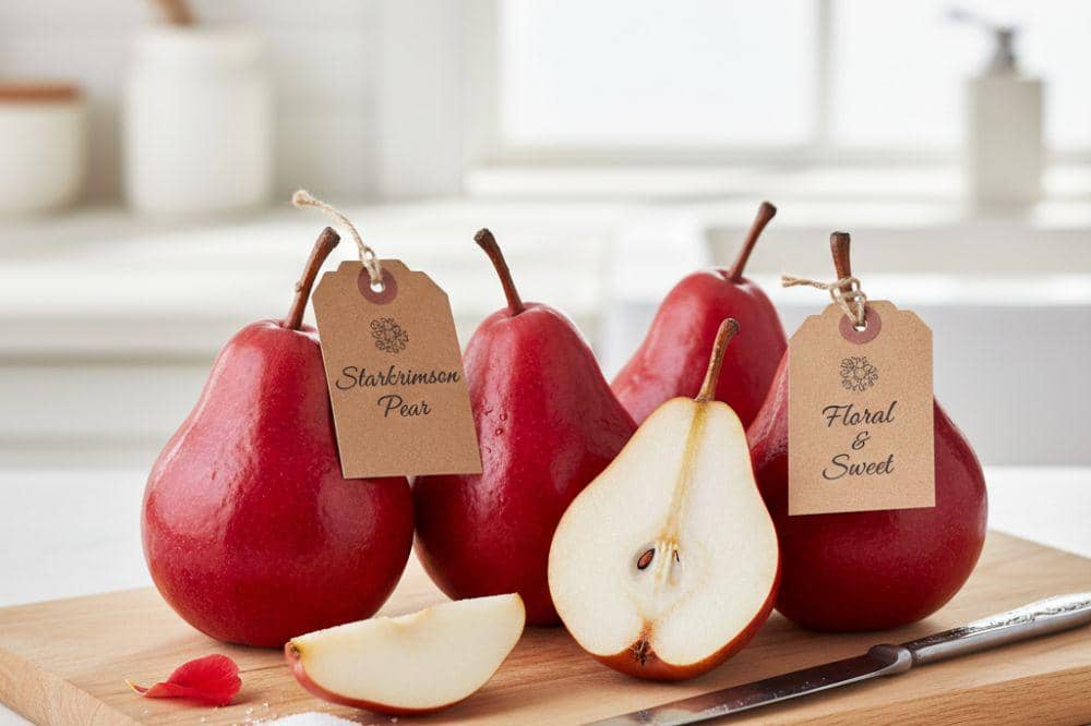8 Jenis Buah Pir dan Perbedaannya untuk Memilih yang Tepat