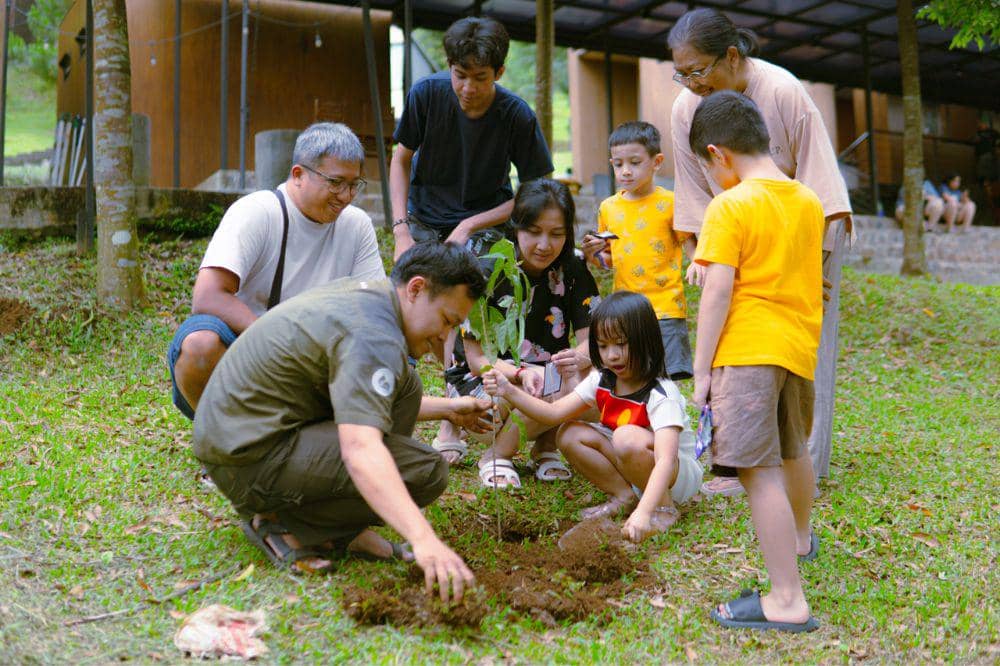 Bobocabin tanam pohon