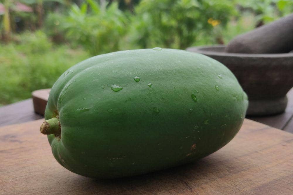 Resep Tumis Pepaya Muda, Pedas Gurih Favorit Masakan Rumahan (1).jpg