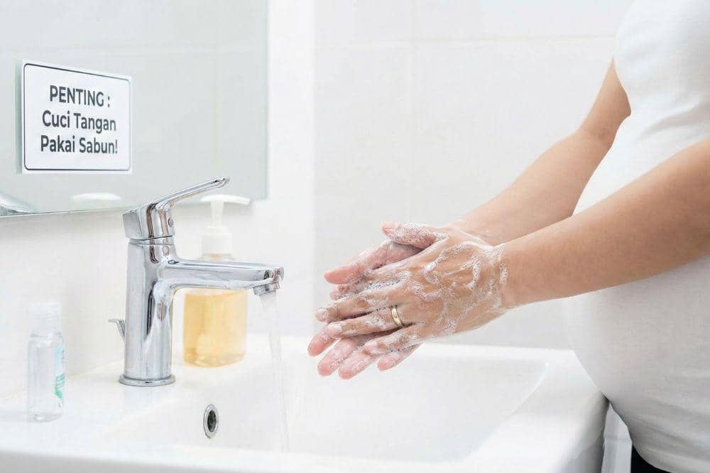 7 Cara Mencegah Virus Nipah saat Hamil 5