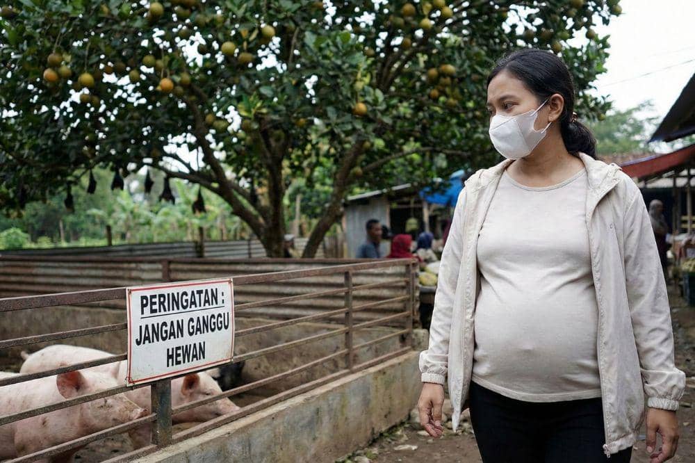 7 Cara Mencegah Virus Nipah saat Hamil 1