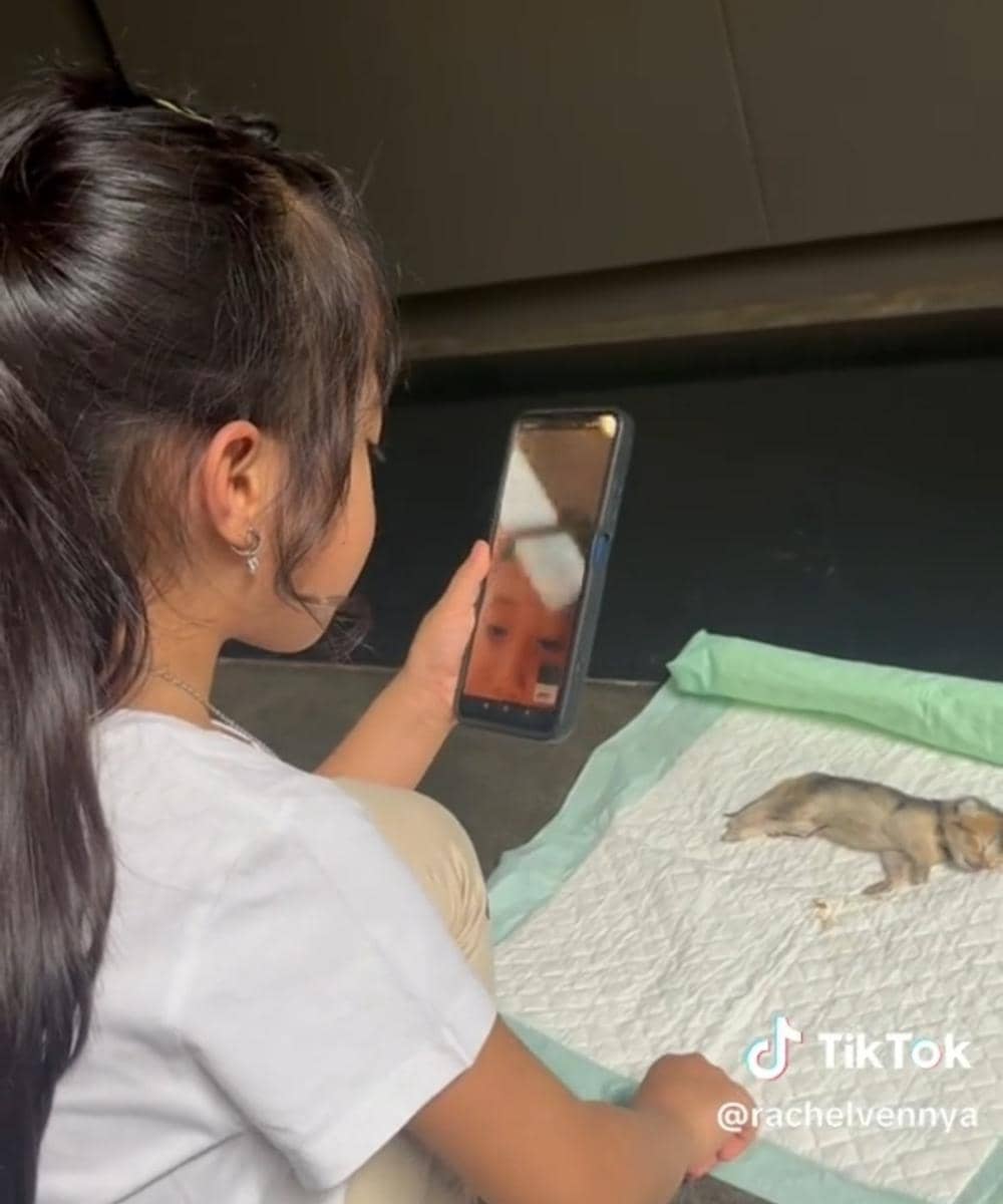 Chava video call Xabiru