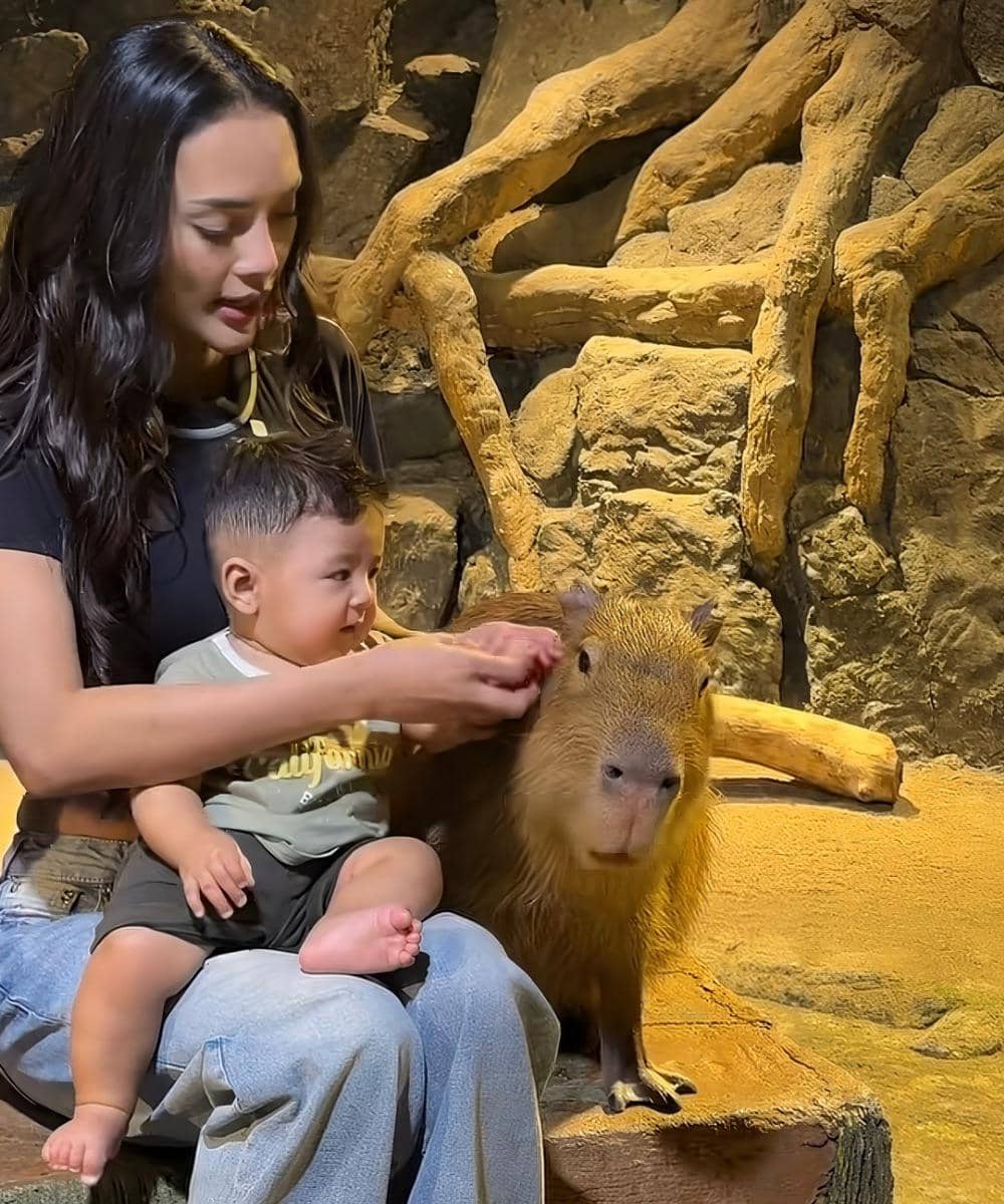 Instagram.com/raxneil_