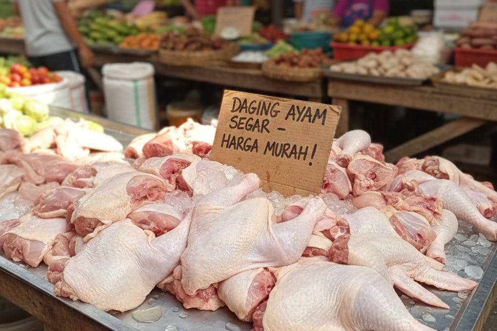 Bolehkah Mengonsumsi Daging Ayam yang Lebam Biru? Ini Jawabannya!