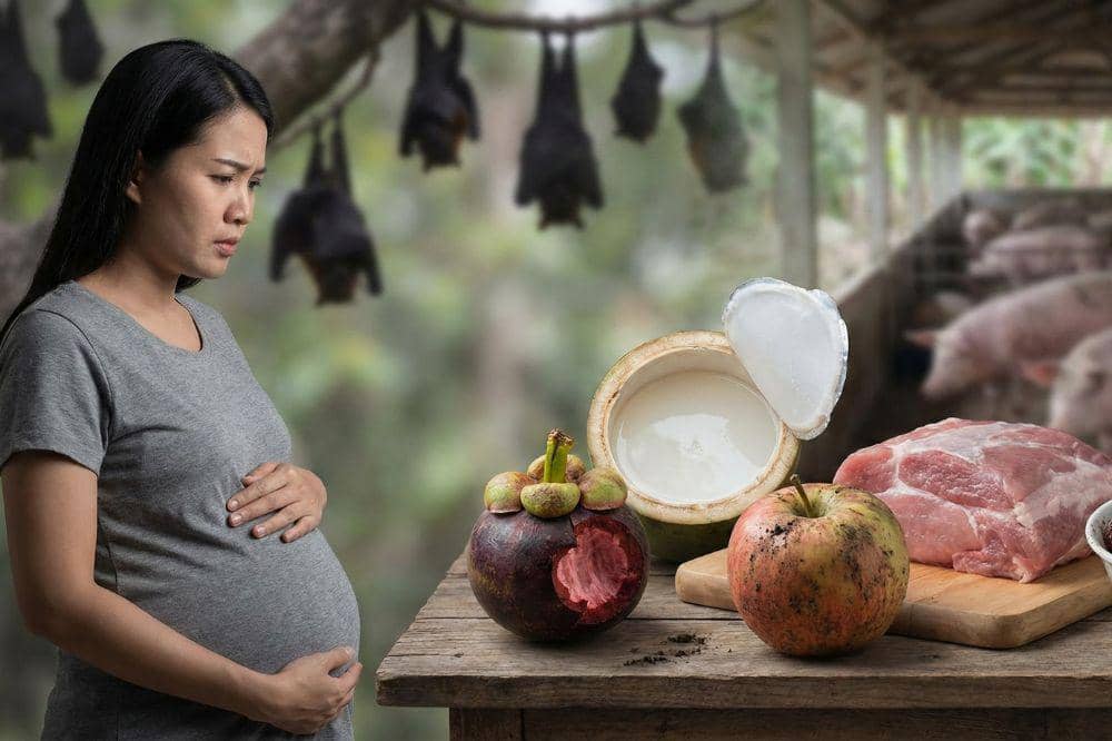 Awas Virus Nipah! Jenis Makanan Ini Harus Diwaspadai Ibu Hamil COVER