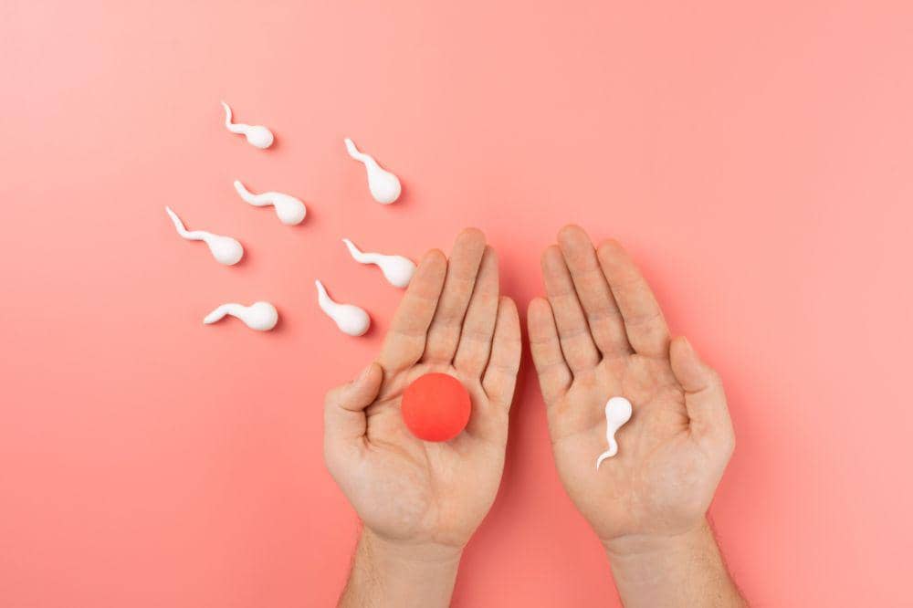 Tips Memahami Siklus Ovulasi untuk Program Hamil yang Lebih Efektif