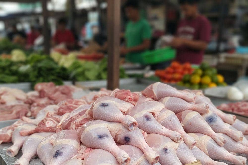 Bolehkah Mengonsumsi Daging Ayam yang Lebam Biru? Ini Jawabannya!