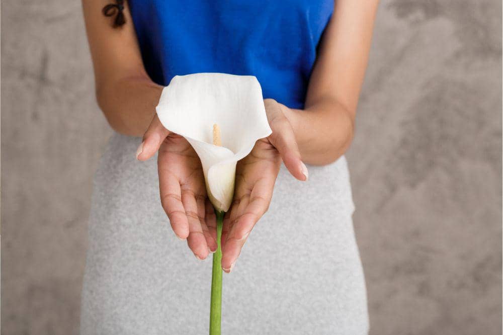 Bahaya hubungan intim saat nifas