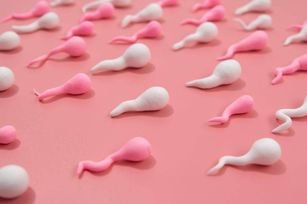 Berapa Lama Sperma Suami Diperbarui?