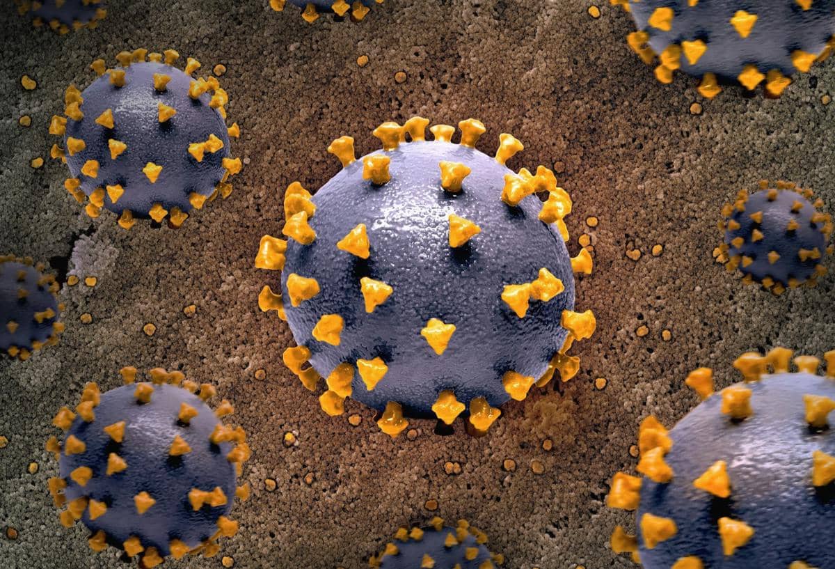 Unsplash.com/National Institute of Allergy and Infectious Diseases
