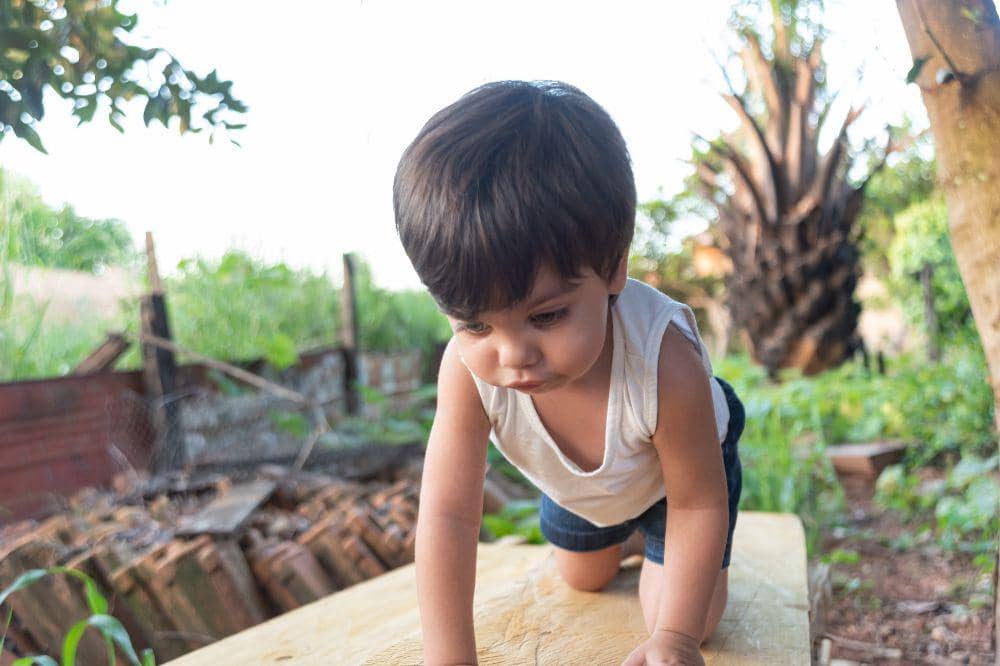 Anak kecil di dalam hutan