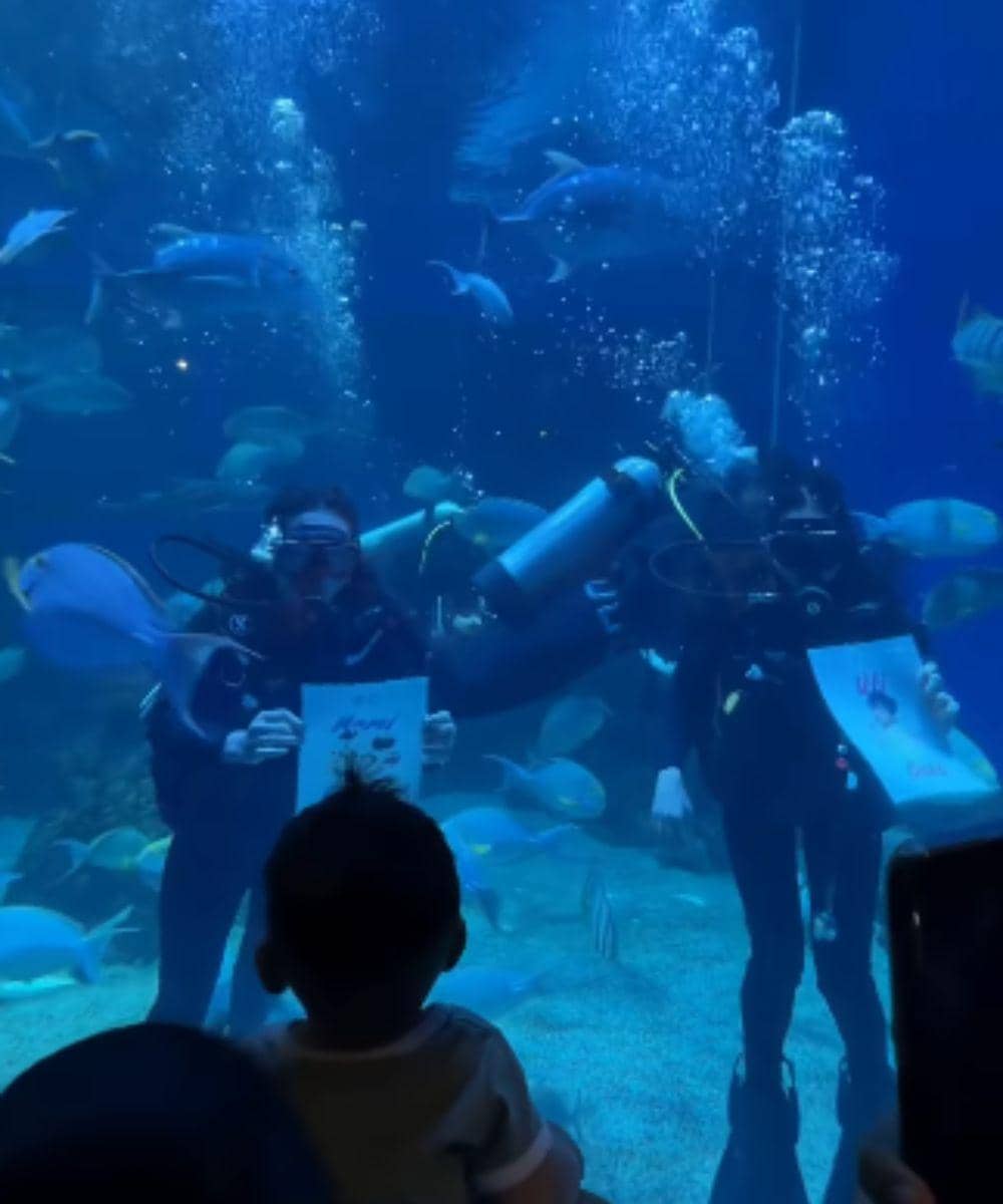 Instagram.com/raxneil_