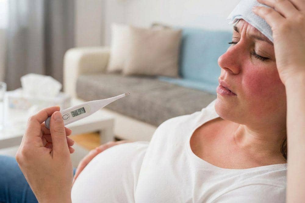 7 Gejala Ibu Hamil Terpapar Virus Nipah 1