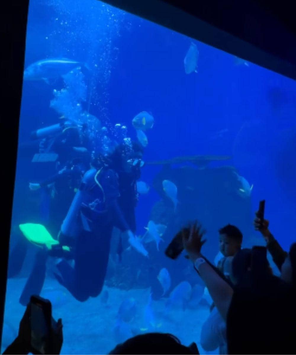 Instagram.com/raxneil_