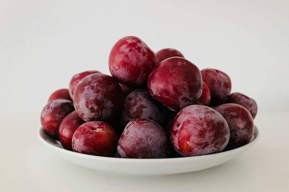 Unsplash/John Cameron