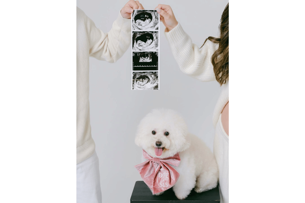 Instagram.com/nicoleparham_